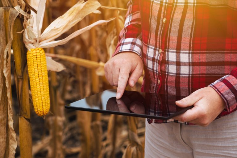 Conheça 5 benefícios da tecnologia para o agronegócio