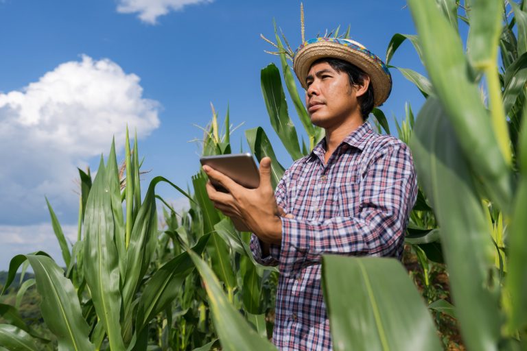 Tendências da transformação digital no agronegócio