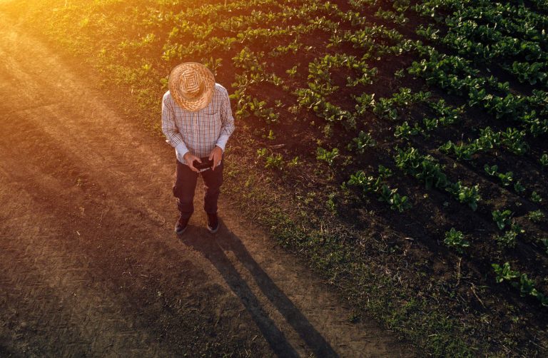 Qual a real importância da tecnologia para o agronegócio