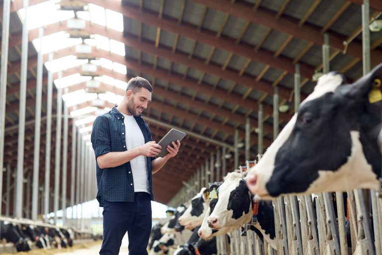 Escalando de 1 para 5000 fazendas: a história do IDEAGRI e a tecnologia